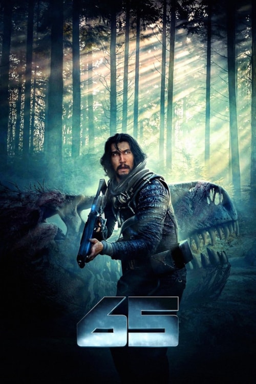 65 poster
